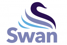 New appointment to lead Swan's ecommerce offer
